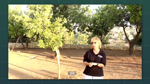 The Dying Tree & The Woman Who Lived to Forgive