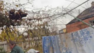 🚨🏃 Ukraine Russia War | Ukrainian Volunteers Evacuate Civilians from Kostyantynivka | RCF