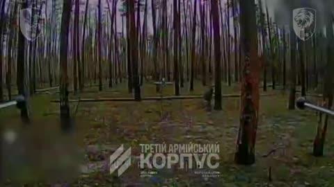 I Lost Count- Dozens of Russian Soldiers Cut Down Inside Serebryansk Forest
