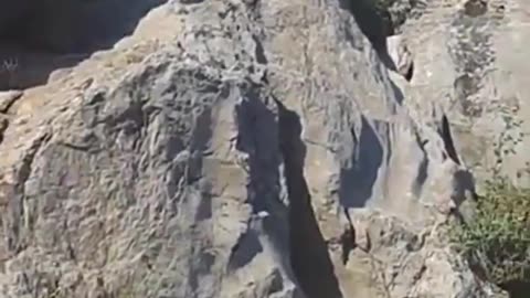 Terrifying reminder that if you think you can outclimb a bear on a steep cliff, no you can't