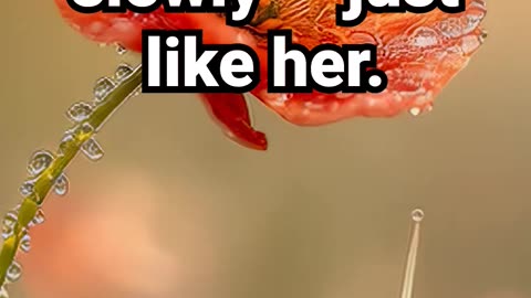 The world awakens slowly — just like her #eveningrelaxationmeditation #lightrainforstudying