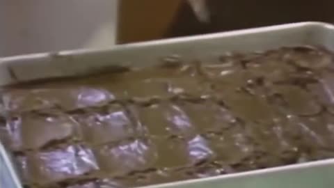 In Arcola, Illinois, a coffee cup isn't just a cup it's a badge of belonging.