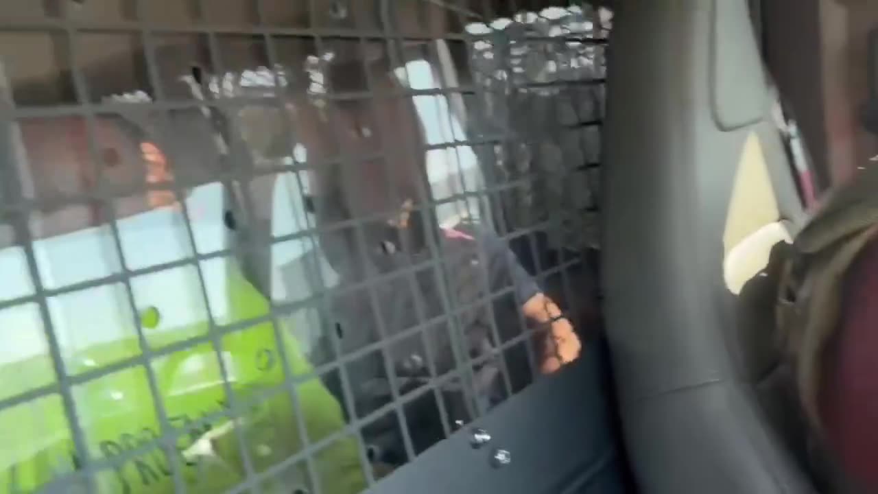 ICE-led Operation Midway Blitz sent these criminal aliens leaving on a jet plane