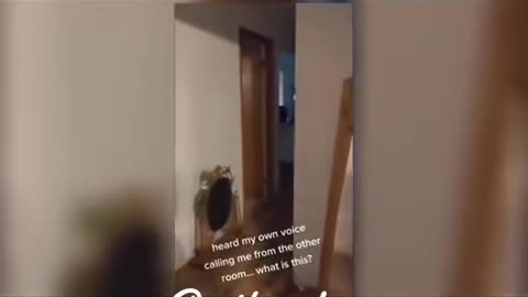 😱👻 On This Day: The Mysterious Case of a Skinwalker Encounter! | TheHauntingHour