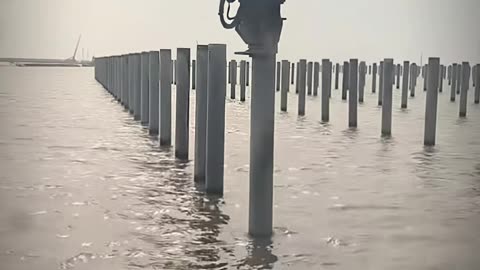 🤯💯 The Ultimate Hack You Didn’t Know You Needed! | LifeHacksDaily