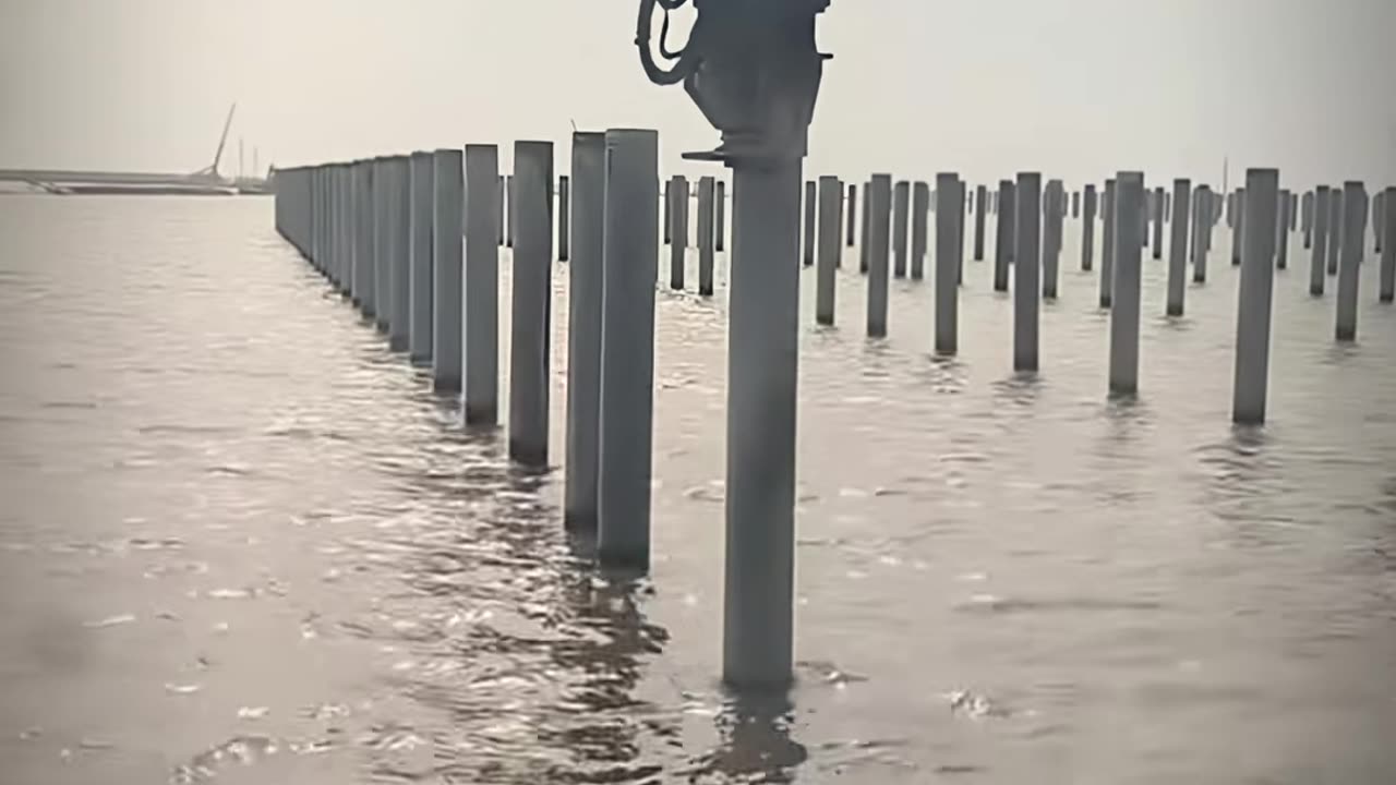 🤯💯 The Ultimate Hack You Didn’t Know You Needed! | LifeHacksDaily