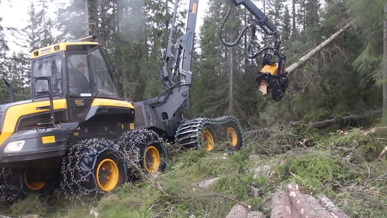 Most Big Chainsaw Cutting Tree Machines | Machines at Work