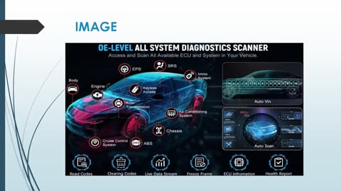 Best Wet Timing Belts in Well Hill