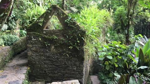 Las Pozas 5 (Xilitla, Huasteca Potosina, San Luis Potosi, Mexico)