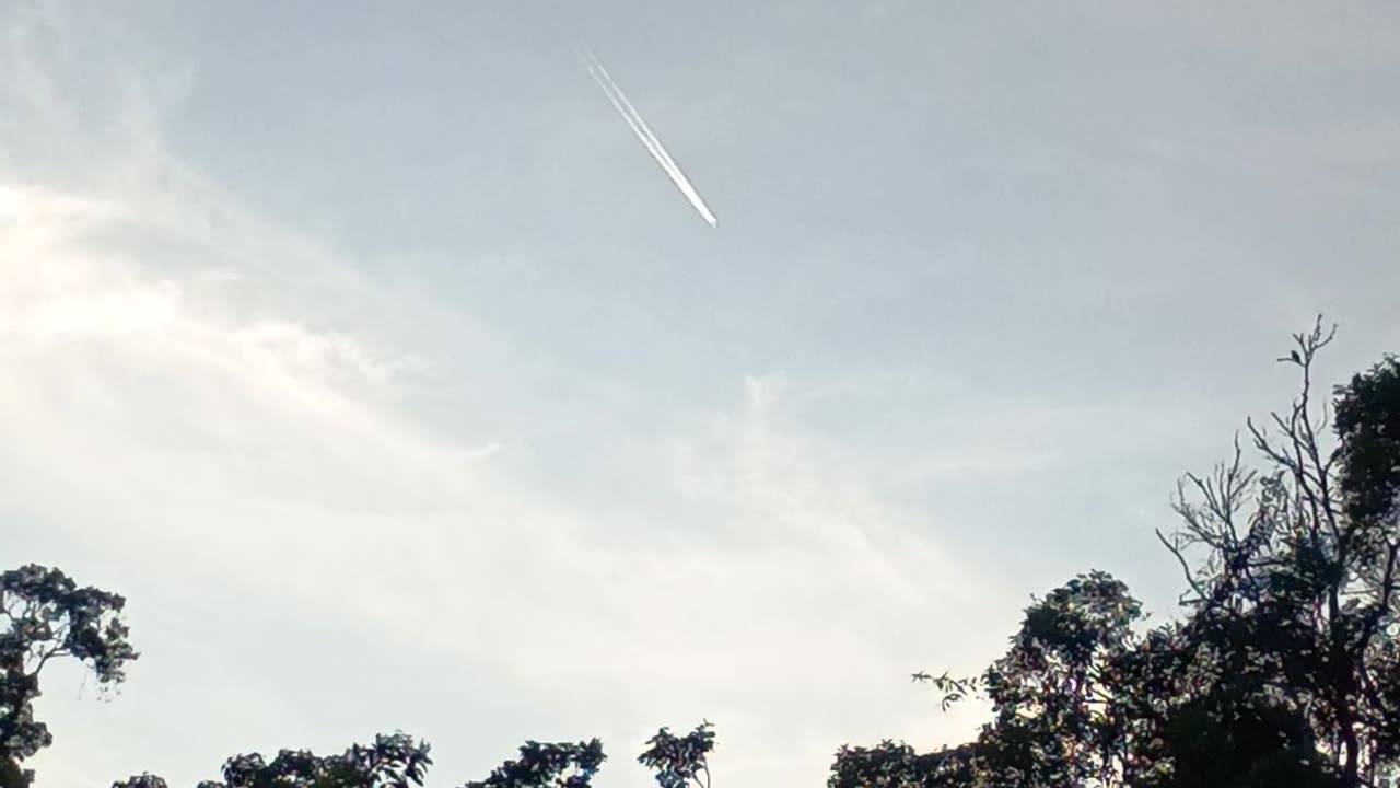 31.1.2024 Another Spraying?