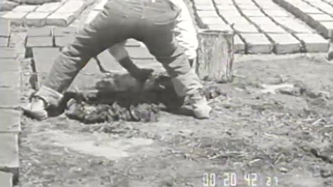 Number Please (Telephone Switch... - Number Please (Telephone Switchboard) Lumbering - fc-fc-1010a-b