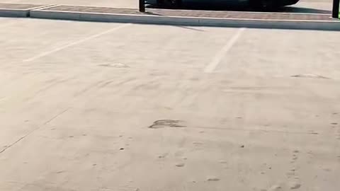 🏎️💨 This Lamborghini's V12 Engine Sound is PURE Symphony! | LuxurySportsCars