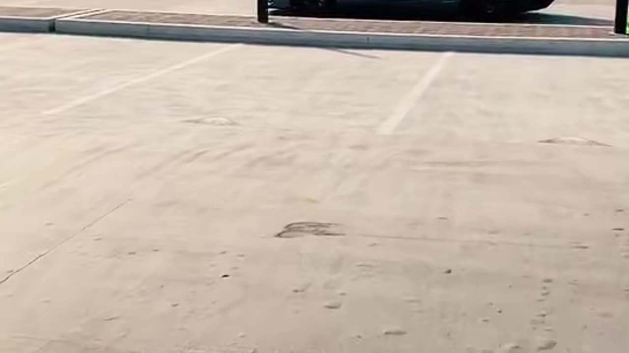 🏎️💨 This Lamborghini's V12 Engine Sound is PURE Symphony! | LuxurySportsCars