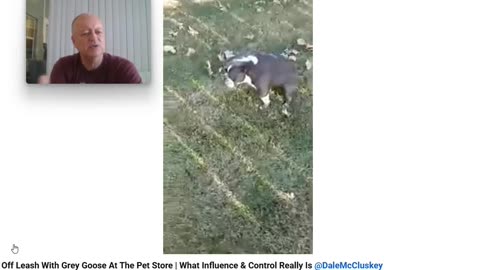 The Anti Dog Trainer - Control and Influence takes a Walk - Pt 2