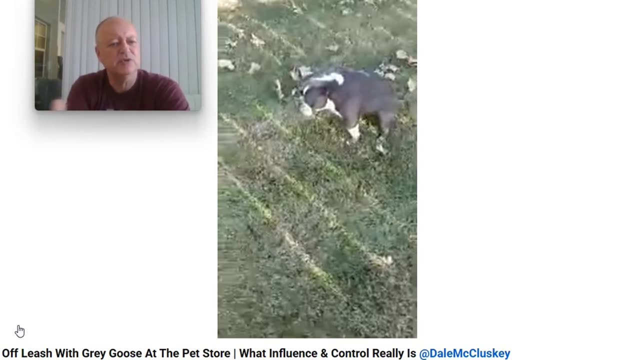 The Anti Dog Trainer - Control and Influence takes a Walk - Pt 2