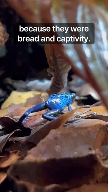 Let’s Clear The Air!