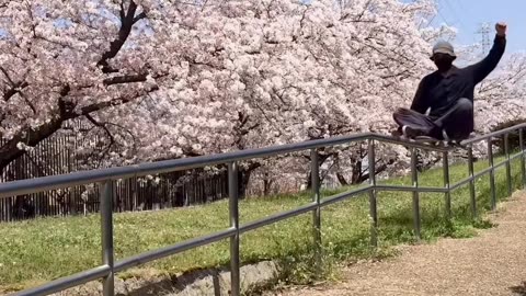 🌸🛹 Skateboarding Is Art! Watch This Beautiful Flow | SkateNation