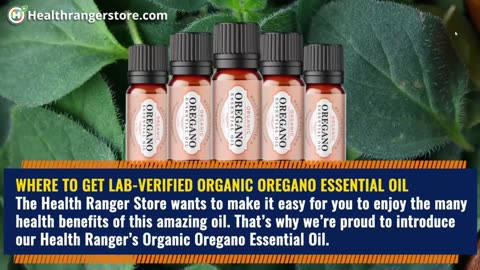 The power of Organic Oregano Essential Oil: A natural remedy that supports health and wellness