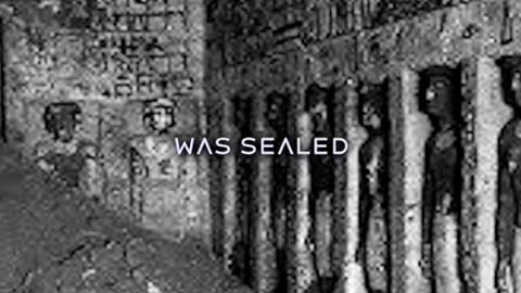 スフィンクスが姿を現しました🤯