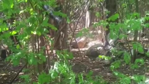 🎥💣 Ukraine Russia War | GoPro Artillerymen Footage: Anti-Drone & Shell Operations | RCF