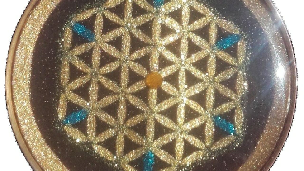 Alineados con la vida