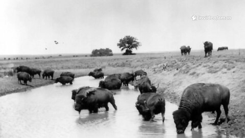 They Tried To Erase The Bisans—Here’s How They Survived