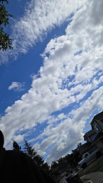 Today is a beautiful day