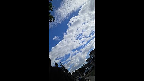 Today is a beautiful day