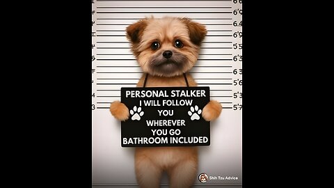 Hiking on a Dirt bike trail in Edina Minnesota-1