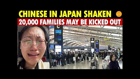 Chinese in Japan Shaken! 20,000 Families Face Expulsion in 3 Years, Paying for Their Bad Actions