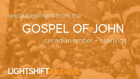 Gospel of John - Bible Verse Encouragement - Circadian Amber - Evenings | LIGHTSHIFT Ambient