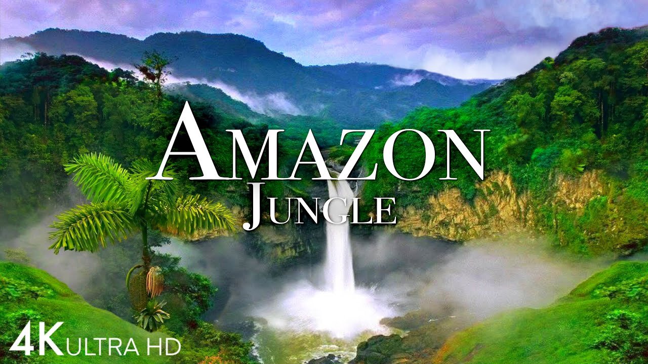 Amazon Jungle 4K - The World's Largest Tropical Rainforest | Jungle Sounds | Scenic Relaxation Film