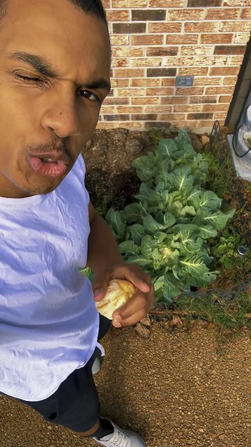 Treat your garden good