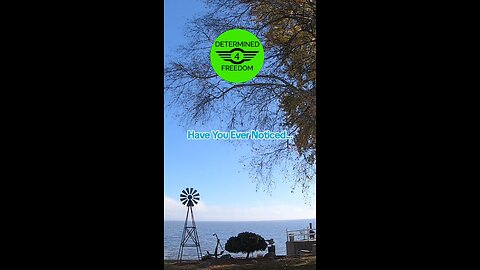 Have You Evwr Noticed...