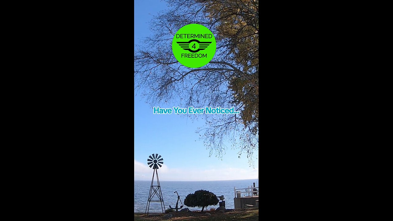 Have You Evwr Noticed...