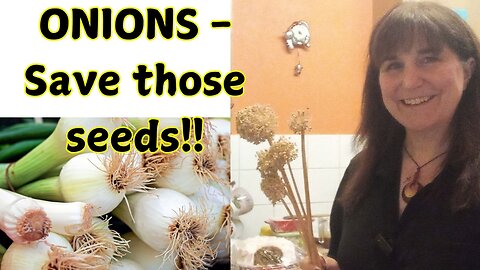 The Onion Seed Struggle: Bringing Humour to the Harvesting!