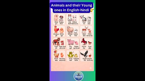 Animals and their young ones name in English and Hindi for all #english #young #shorts