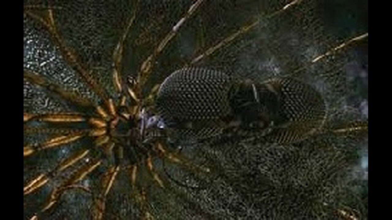 Lexx-S02xE17-The_Net