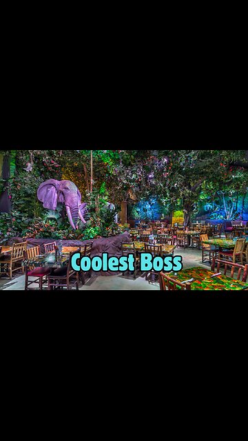 When You Quit Rainforest Cafe