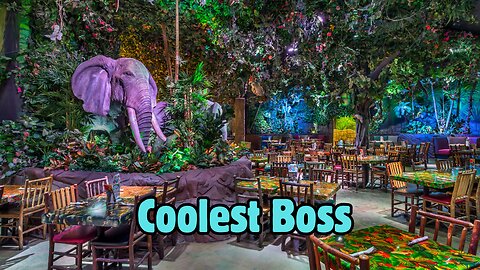 When You Quit Rainforest Cafe