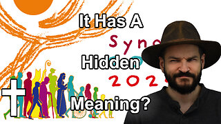 What is Synodality?|✝