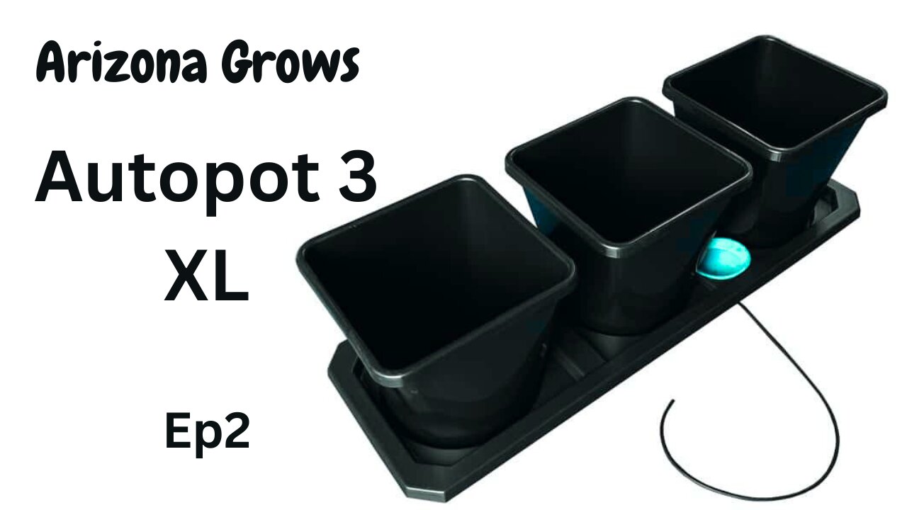 Transplanting Into The 3XL From Autopot