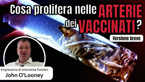 #JOHN O'LOONEY / IMPRESARIO DI ONORANZE FUNEBRI: “VI MOSTRO COSA POTREBBE PROLIFERARE NELLE ARTERIE DI NON POCHI VACCINATI!!”👿👿👿