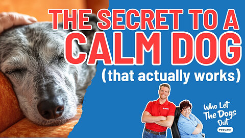 The Secret To A Calm Dog: Tips For A Calmer Pup 🐶 — Dog Talk Ep. 075