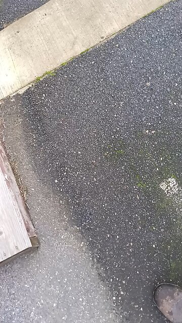 commercial electrical and plumbing