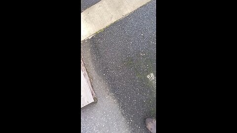 commercial electrical and plumbing