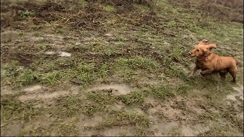 22/01/26 trail run with willow