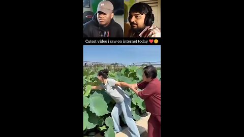whait for end 🤣🤣