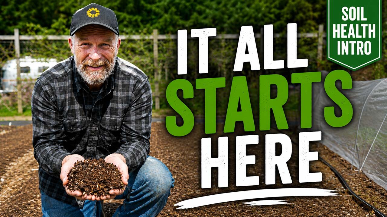 The Truth About Soil Health (And Why It Changes Everything)