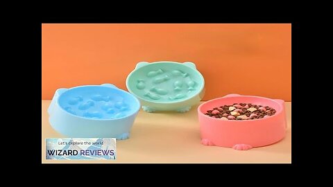 Food Dispenser Water Bowl Daily Supply Cat Food Bowl Tall Feet Cartoon Review